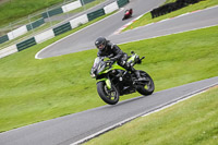 cadwell-no-limits-trackday;cadwell-park;cadwell-park-photographs;cadwell-trackday-photographs;enduro-digital-images;event-digital-images;eventdigitalimages;no-limits-trackdays;peter-wileman-photography;racing-digital-images;trackday-digital-images;trackday-photos